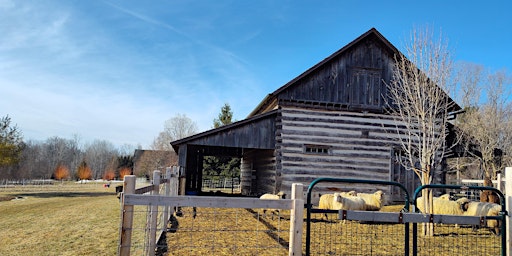 Primaire afbeelding van Belmae Farm Pasture Walk - Pollinator Habitat