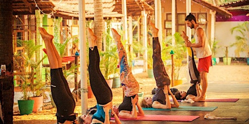 200 Hours Yoga Teacher Training primary image