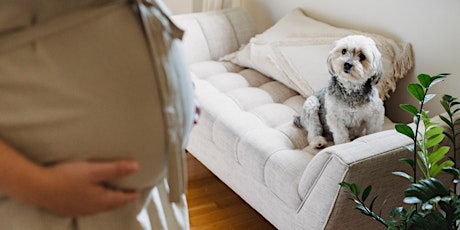 How to prepare your dog for your new arrival-April Talk