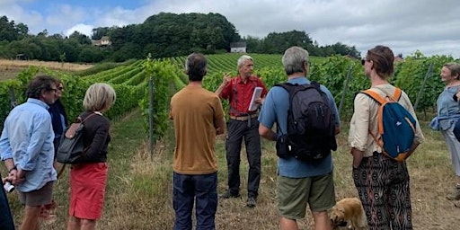 Imagem principal de [BlueWalks] Le Vin du Nord - Wijn uit de Westhoek