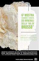 Immagine principale di 6ª Mostra scambio e vendita dei minerali della "Val di Brosso" 
