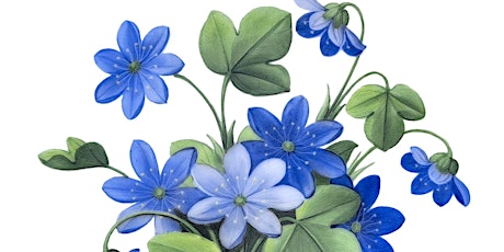 Image principale de AUSGEBUCHT: Die Blaue Blume - Blumen in der Romantik
