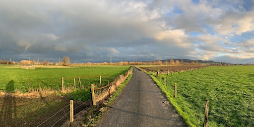 [BlueWalks] Le sentier des pieds secs - Blote voetenpad primary image