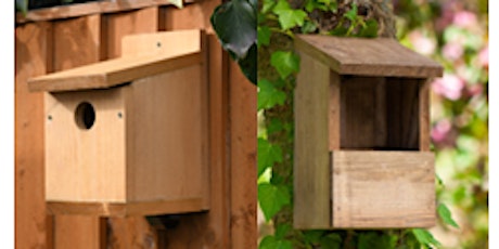 Build Bird Boxes for Blue tits and Robins at Ryton Pools Country Park primary image