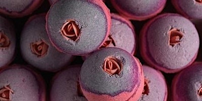 Planes y eventos en Lush Bilbao: Crea tu propia bomba de baño Sex Bomb primary image