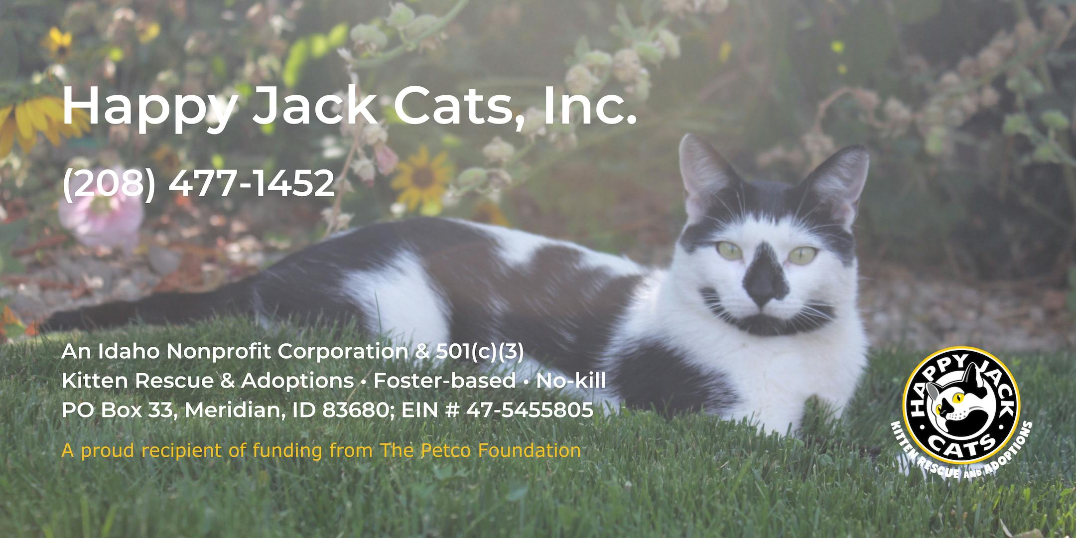 Microchip Event for Happy Jack Cats and Lake Lowell Animal Rescue