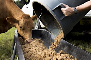 Hauptbild für Preventive Controls for Animal Food, Okeechobee, FL