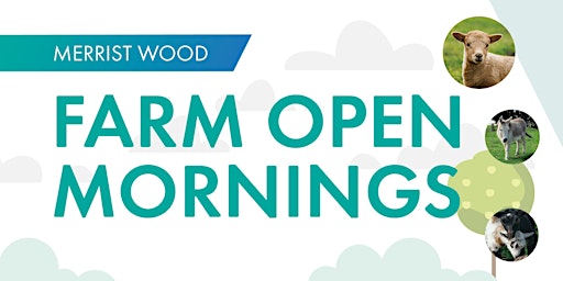 Imagen principal de Merrist Wood Farm Open Mornings.