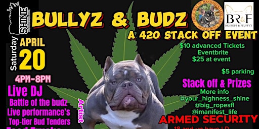 Bullyz and Budz primary image