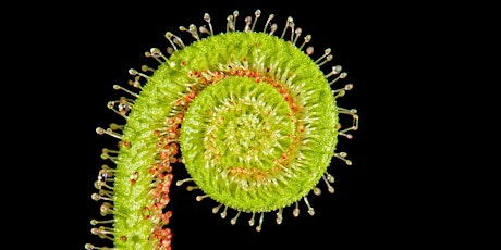 Make and Take Carnivorous Plant Bog, with author Kenny Coogan