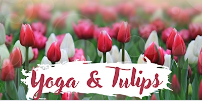 Yoga & Tulips at Blue Gables Farm primary image