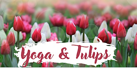 Yoga & Tulips at Blue Gables Farm
