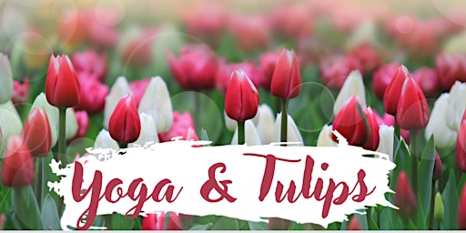 Hauptbild für Yoga & Tulips at Blue Gables Farm