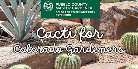 Cacti for Colorado Gardeners