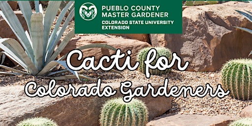 Cacti for Colorado Gardeners primary image