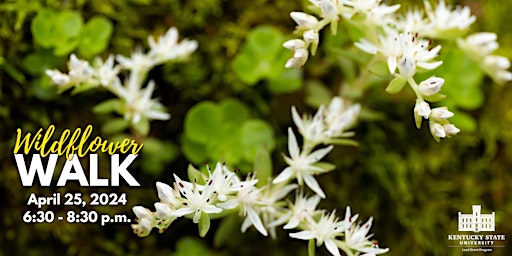 Hauptbild für Wildflower Walk