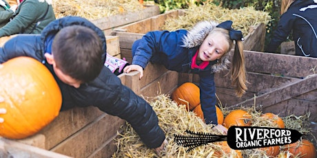 Riverford Pumpkin Day, Wash Farm, Devon *NOW SOLD OUT* primary image