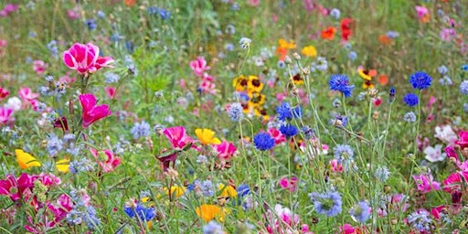 Hauptbild für Flower Pressing Workshop