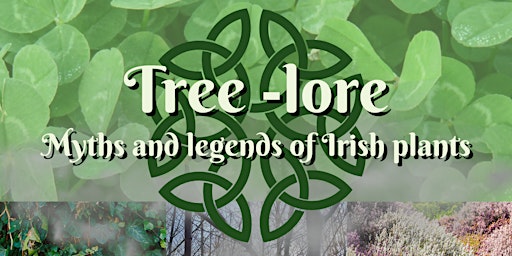 Primaire afbeelding van Themed Tour: Tree Lore - Myths and legends of Irish plants
