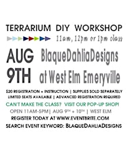 Terrarium D.I.Y Workshop primary image