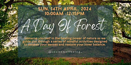 A morning of Forest Bathing, grounding and Mindfulness - April