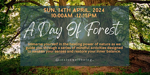 Hauptbild für A morning of Forest Bathing, grounding and Mindfulness - April