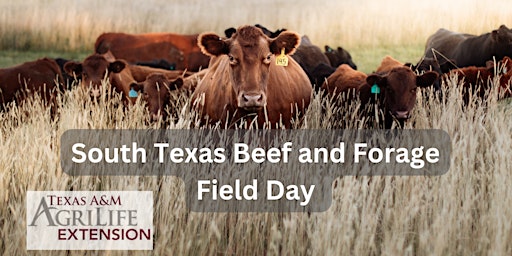 Imagem principal do evento South Texas Beef and Forage Field Day