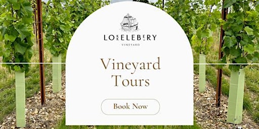 Lokkelebery Vineyard Tour primary image