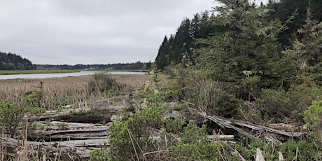 Siuslaw Estuary Volunteer Cleanup