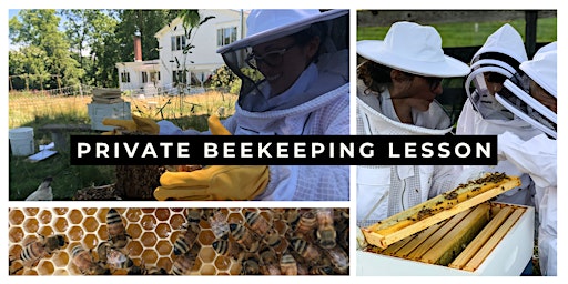 Imagen principal de Private Beekeeping Lesson