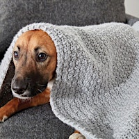 Crafting for a Cause: Learn to Crochet Dog Blankets primary image