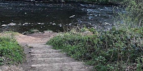 Walk Around Haughton Dale, Hyde