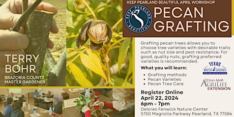 KPB Garden Workshop: Pecan Grafting