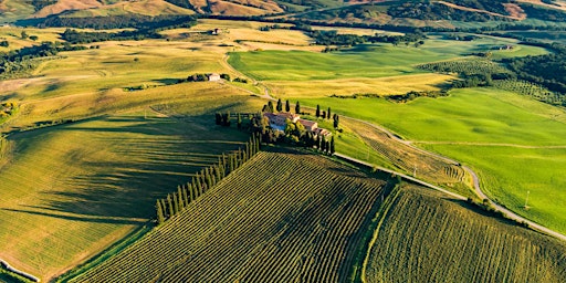 Spring in Provence primary image