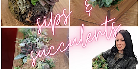 Sips and Succulents
