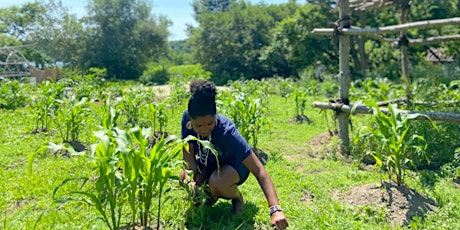 Homeschool Adventure: Make a Garden Grow (Ages 8+) primary image