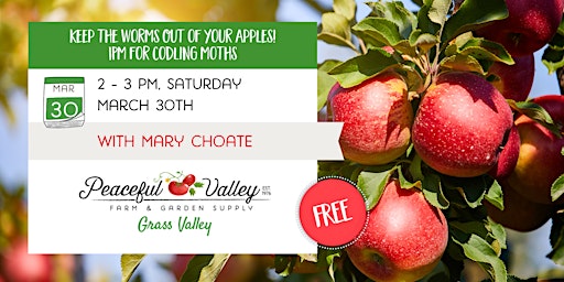 Imagen principal de Keep The Worms Out of Your Apples! IPM for Codling Moths