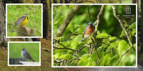 Bird Walk with Loudoun Wildlife Conservancy