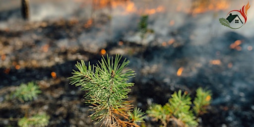 Image principale de Routt County Wildfire Mitigation Conference - Stakeholders