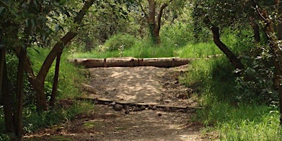 Image principale de Bosque de Tlalpan 2