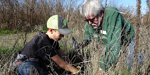 Imagen principal de Stewardship Day at Kaweah Oaks Preserve