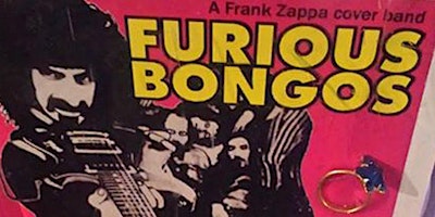 Primaire afbeelding van The Furious Bongos