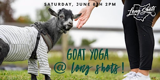 Primaire afbeelding van Goat Yoga @ Long Shots!