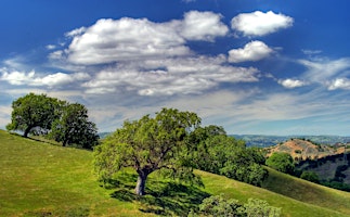 Shell Ridge Ramble