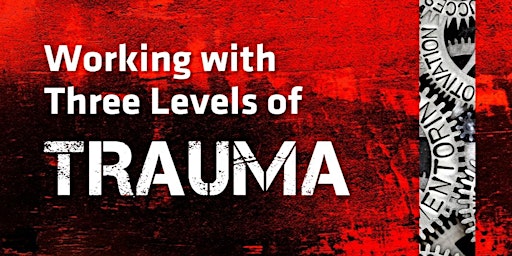Working with Trauma primary image