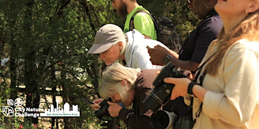 Hauptbild für iNaturalist Training