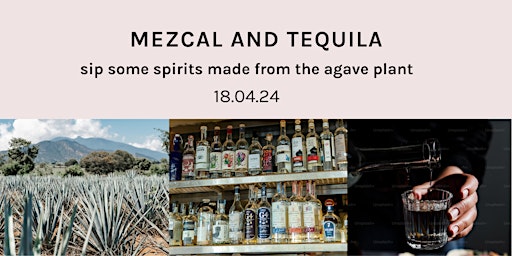 Mezcal & Tequila: Spirit Tasting Evening - Hometipple, Walthamstow, E17 primary image