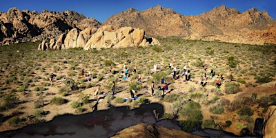 Imagen principal de JOSHUA TREE CAMPING & YOGA RETREAT 2024