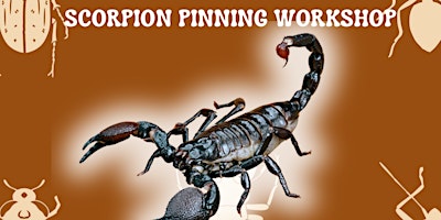 Scorpion Workshop @ High Score Brewing primary image