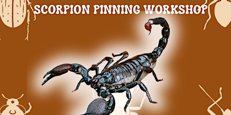 Scorpion Workshop @ High Score Brewing